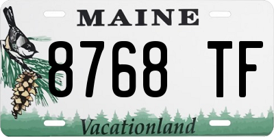 ME license plate 8768TF