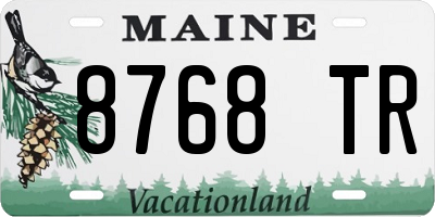 ME license plate 8768TR