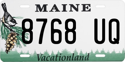 ME license plate 8768UQ