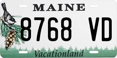 ME license plate 8768VD