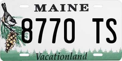 ME license plate 8770TS