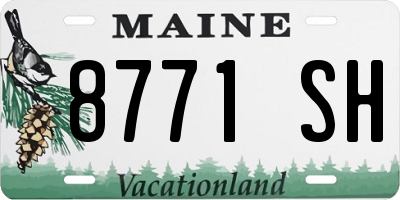 ME license plate 8771SH