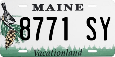 ME license plate 8771SY