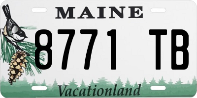 ME license plate 8771TB