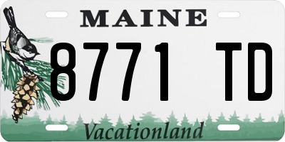 ME license plate 8771TD