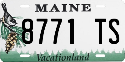 ME license plate 8771TS