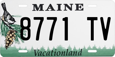 ME license plate 8771TV