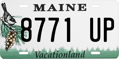 ME license plate 8771UP