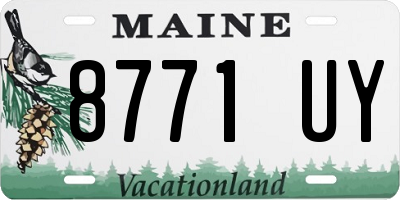 ME license plate 8771UY