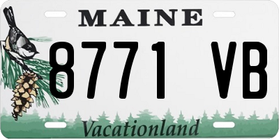 ME license plate 8771VB