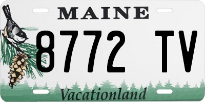 ME license plate 8772TV