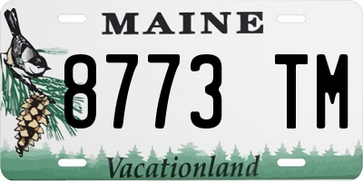ME license plate 8773TM