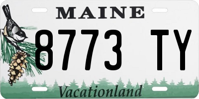 ME license plate 8773TY