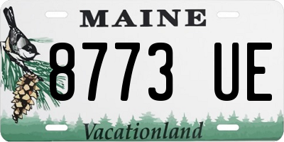 ME license plate 8773UE