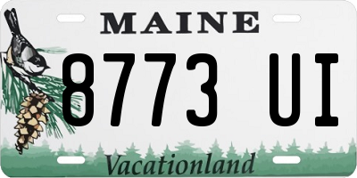 ME license plate 8773UI