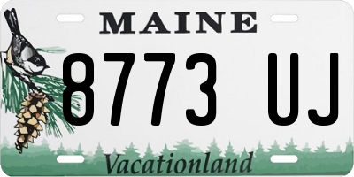 ME license plate 8773UJ
