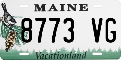 ME license plate 8773VG