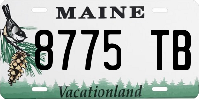 ME license plate 8775TB