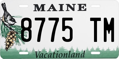 ME license plate 8775TM