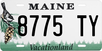 ME license plate 8775TY