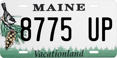 ME license plate 8775UP