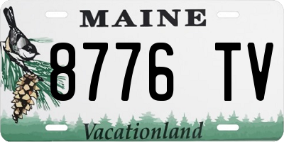 ME license plate 8776TV