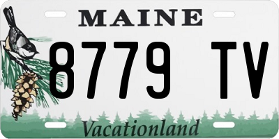 ME license plate 8779TV