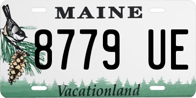 ME license plate 8779UE