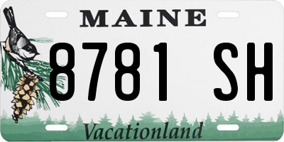 ME license plate 8781SH