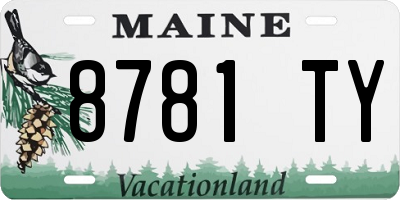 ME license plate 8781TY