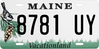 ME license plate 8781UY