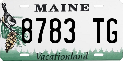 ME license plate 8783TG