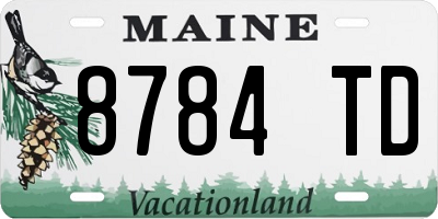 ME license plate 8784TD