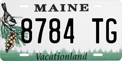 ME license plate 8784TG