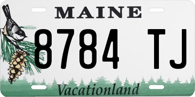 ME license plate 8784TJ