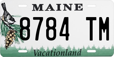 ME license plate 8784TM
