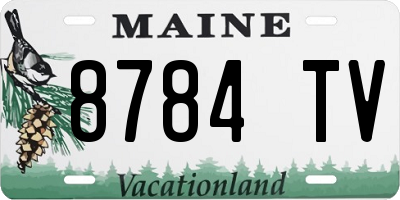 ME license plate 8784TV