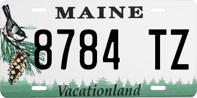 ME license plate 8784TZ