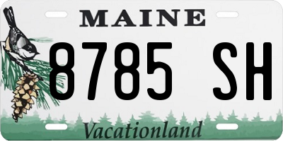 ME license plate 8785SH