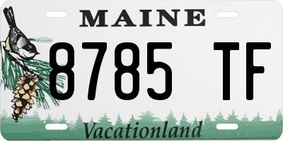 ME license plate 8785TF