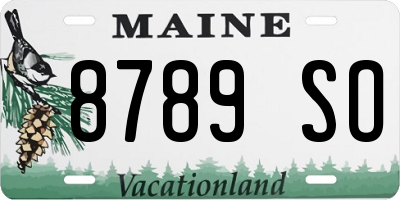 ME license plate 8789SO