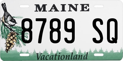 ME license plate 8789SQ
