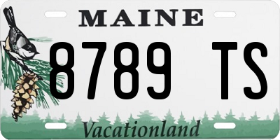 ME license plate 8789TS