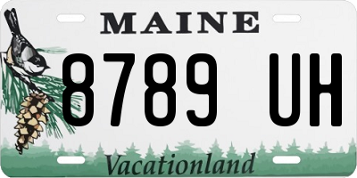 ME license plate 8789UH