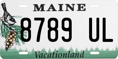 ME license plate 8789UL