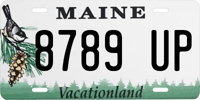 ME license plate 8789UP