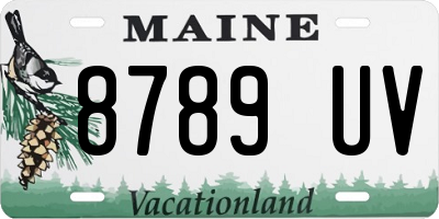 ME license plate 8789UV