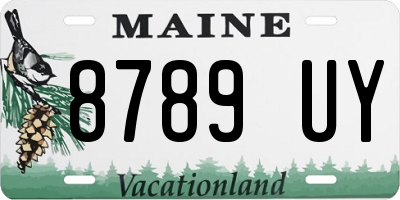 ME license plate 8789UY