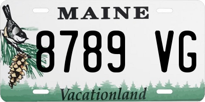 ME license plate 8789VG