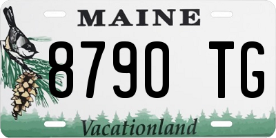 ME license plate 8790TG